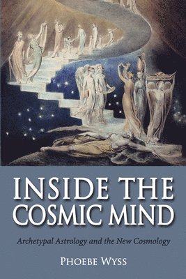 Inside the Cosmic Mind 1