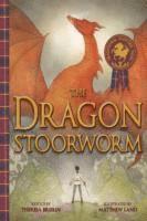 bokomslag Dragon Stoorworm