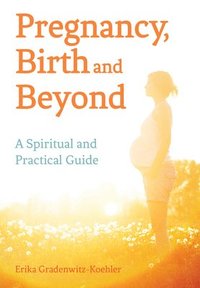 bokomslag Pregnancy, Birth and Beyond