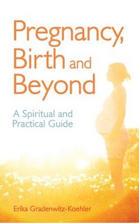 bokomslag Pregnancy, Birth and Beyond
