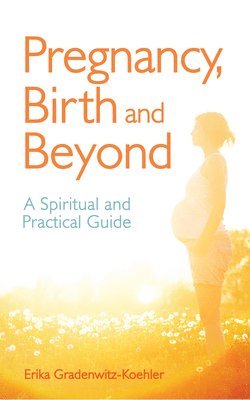 bokomslag Pregnancy, Birth and Beyond