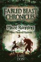 Lari Don - Maze Running and other Magical Missions, Häftad