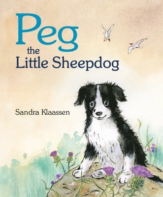 Peg the Little Sheepdog 1