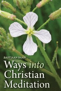 bokomslag Ways into Christian Meditation