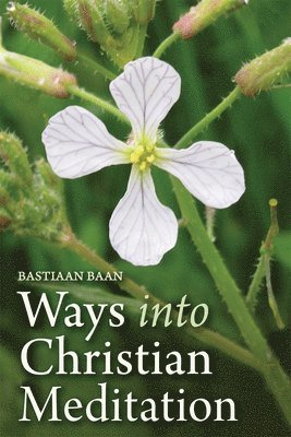 bokomslag Ways into Christian Meditation