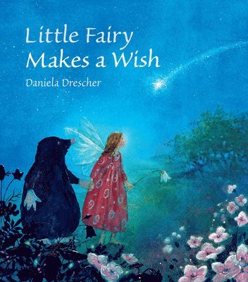 bokomslag Little Fairy Makes a Wish