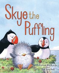 bokomslag Skye the Puffling