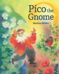 bokomslag Pico the Gnome