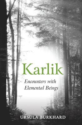 bokomslag Karlik: Encounters with Elemental Beings