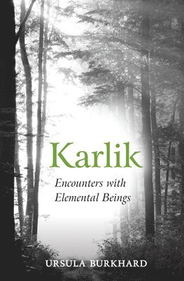 Karlik 1