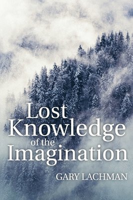 Lost Knowledge of the Imagination 1