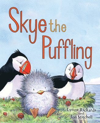 Lynne Rickards - Skye the Puffling, Kartonnage