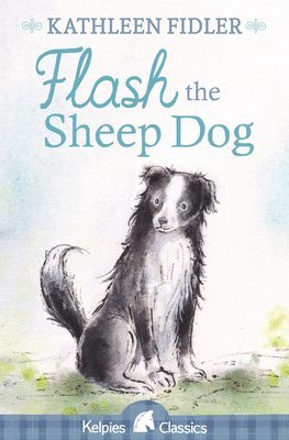 Flash the Sheep Dog 1