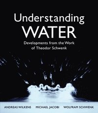 bokomslag Understanding Water