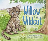 bokomslag Willow the Wildcat
