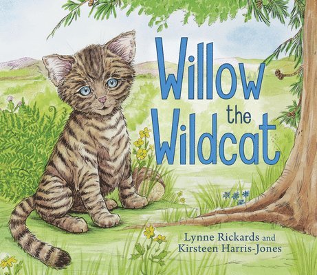 Willow the Wildcat 1