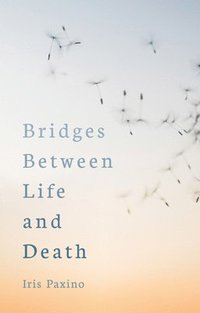 bokomslag Bridges Between Life and Death
