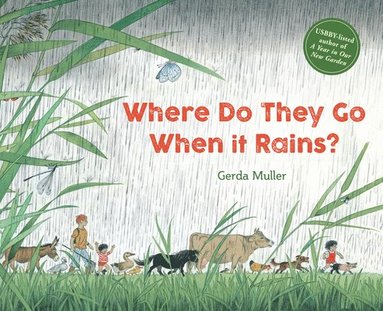 Gerda Muller - Where Do They Go When It Rains?, Inbunden