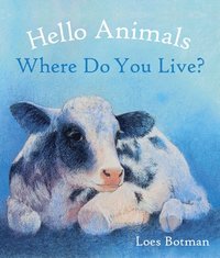 bokomslag Hello Animals, Where Do You Live?