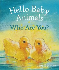 bokomslag Hello Baby Animals, Who Are You?
