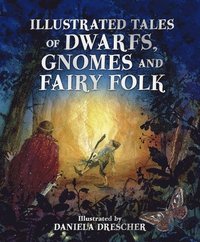 bokomslag Illustrated Tales of Dwarfs, Gnomes and Fairy Folk
