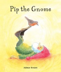 bokomslag Pip the Gnome