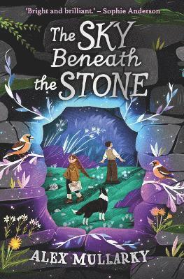 Alex Mullarky - Sky Beneath the Stone, Häftad