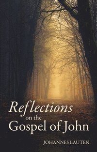 bokomslag Reflections on the Gospel of John