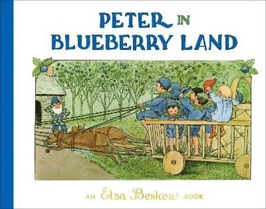 bokomslag Peter in Blueberry Land