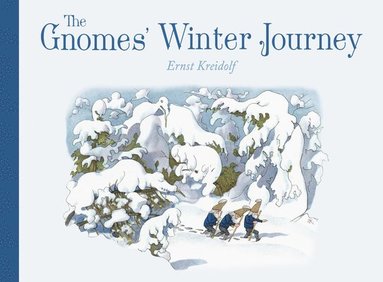 bokomslag Gnomes' Winter Journey