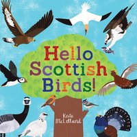 bokomslag Hello Scottish Birds