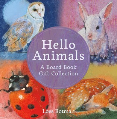 Hello Animals: A Board Book Gift Collection 1