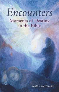 bokomslag Encounters: Moments of Destiny in the Bible