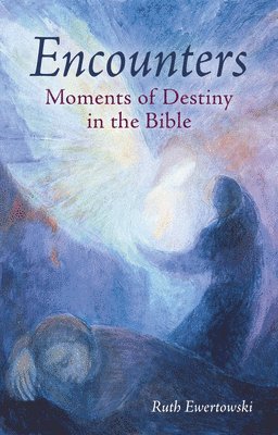 Ruth Ewertowski - Encounters: Moments of Destiny in the Bible, Häftad