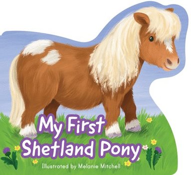 My First Shetland Pony, Kartonnage