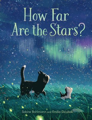 Sabine Bohlmann - How Far Are the Stars?, Inbunden