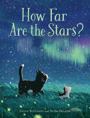 How Far Are the Stars? 1