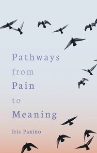 bokomslag Pathways from Pain to Meaning
