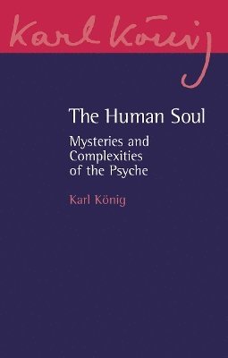 The Human Soul 1