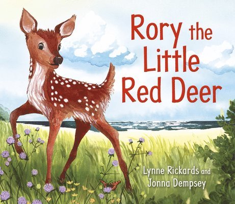 Rory the Little Red Deer