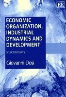 bokomslag Economic Organization, Industrial Dynamics and Development