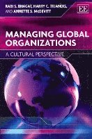 bokomslag Managing Global Organizations