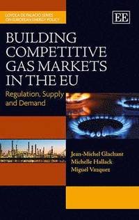 bokomslag Building Competitive Gas Markets in the EU