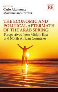 bokomslag Economic and Political Aftermath of the Arab Spring
