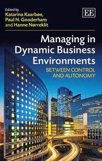 bokomslag Managing in Dynamic Business Environments