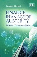 bokomslag Finance in an Age of Austerity
