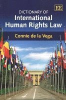 bokomslag Dictionary of International Human Rights Law