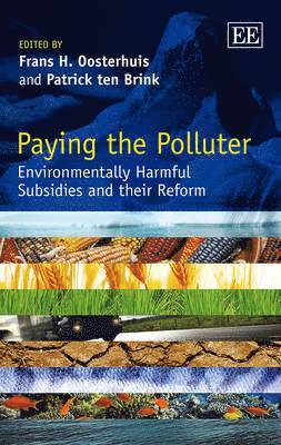 Frans H. Oosterhuis, Patrick ten Brink - Paying the Polluter, Inbunden
