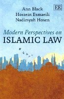 bokomslag Modern Perspectives on Islamic Law