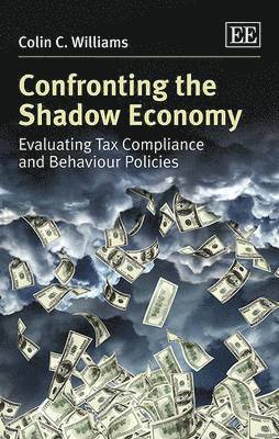 Colin C. Williams - Confronting the Shadow Economy, Inbunden